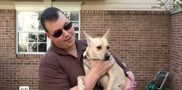 ASG Smart Home Security Saved My Dogs